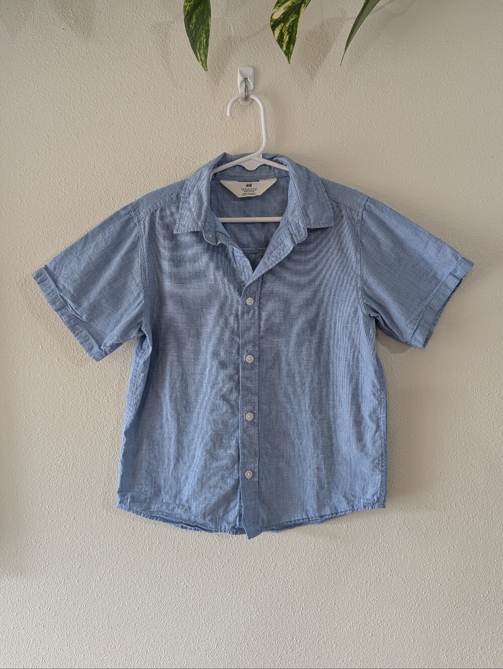 Light Blue Cotton Button Down